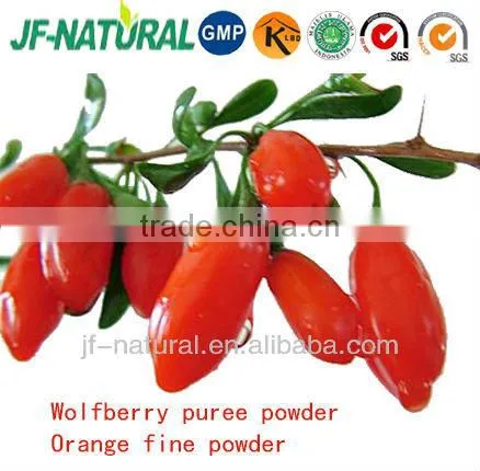 Wolfberry Concentrate Juice Powder
