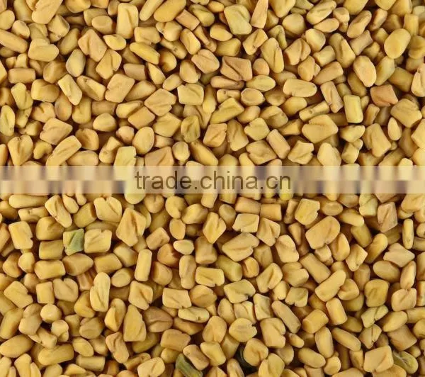 Fenugreek Seeds