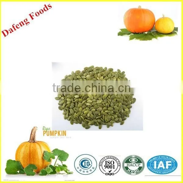 Supply Green World Health Products Pumpkin Kernels photo-5