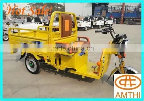 Electric Tricycle for Passengers, Beautiful Adult Electric Tricycle on Sale , Amthi photo-6