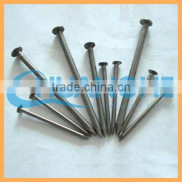 Manufacture High Quality Low Price Factory Hardware Common Nail Iron Nail photo-5