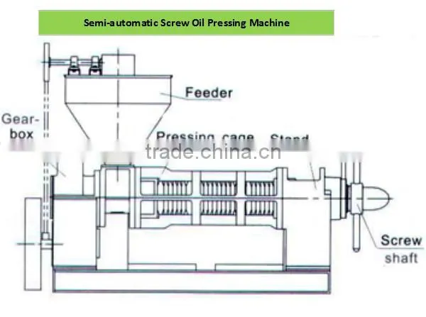 Henan Production Line Sunflower Oil Extractor Oil Press Machine for Sunflower Seeds photo-6