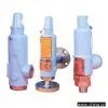 Sell Safety Valve With Screwed Flange Connections