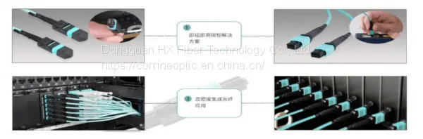 MTP/MPO High Density Cabling System photo-4