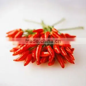 Fresh Chilli