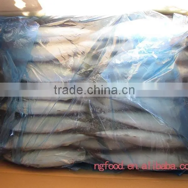 Frozen Mackerel Fish Whole Round photo-4