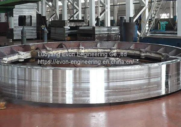 Excavator Crane Slewing Ring Bearing 42CrMo/50Mn/GCr15 Ring Material photo-2