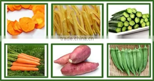 CE Certificate Fruit Chips Vegetable Vacuum Fryer photo-4