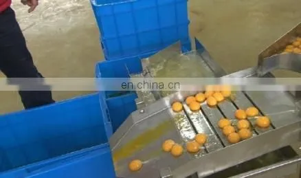 Yolk Drying Machine Washing Machine and Breaking Machine photo-3