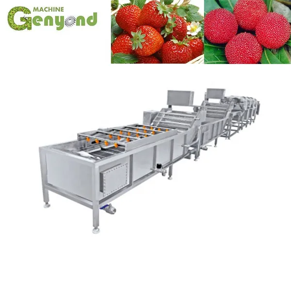 Orange/lemon Fruit Washing Waxing Drying Sorting Machinery/production Line photo-3