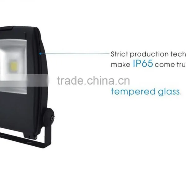 New Design IP65 Meanwell Driver Bridgelux LED Flood Light COB Outdoor 30W 50W LED Flood Light photo-4