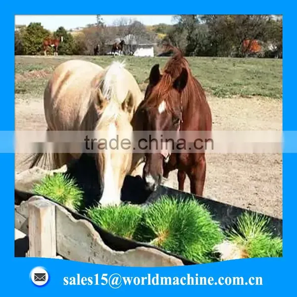 Rabbit Fodder Making Machine for Sale/hydroponic Fodder System/hydroponics Fodder Hydroponic Culturing Barley Breeding Machine photo-2