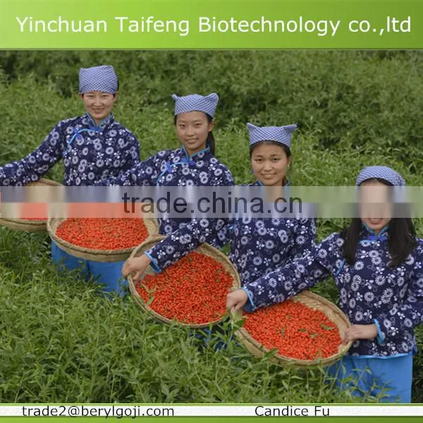 2015's New Crop CRECES Certified Organic Goji Berry photo-2