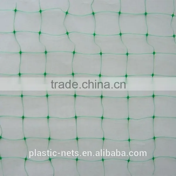 Plastic Net/plastic Netting photo-2