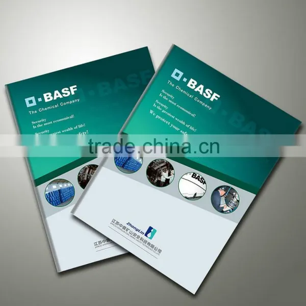 Custom Hot Sale Company Brochure Printing photo-3