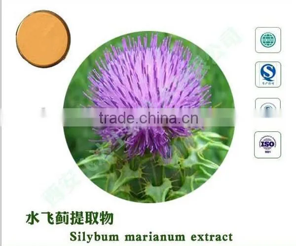 Water Soluble Organic 30%-98% Silymarin photo-5