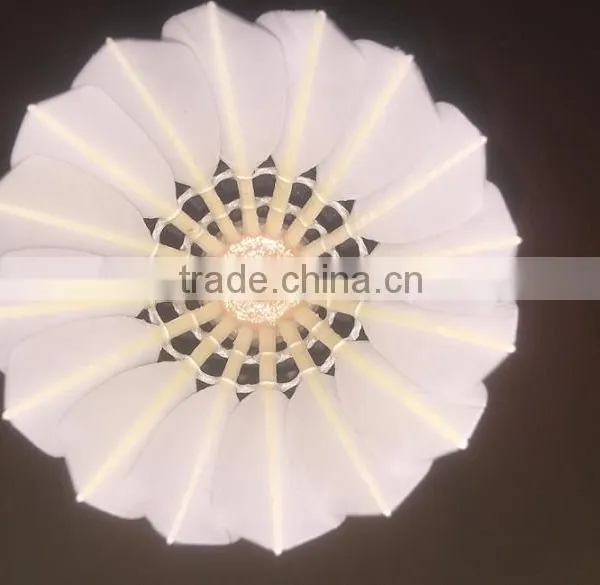 Professional OEM China Manufacturer Goose Feather Shuttlecock Quality to Eg1130 Badminton Shuttlecock photo-5