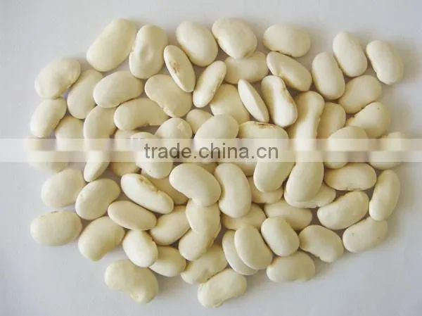 Kidney Bean Extract 1% Phaseolin by HPLC photo-2