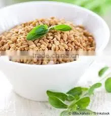 FENUGREEK SEED WHOLE INDIAN SPICES photo-2