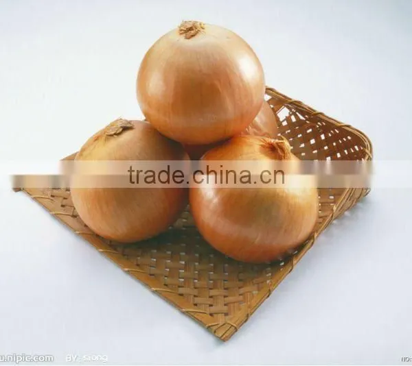 Fresh Yellow Onion(in Low Price)