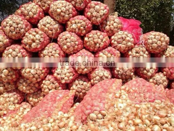 Super Quality Grade a Egyptian Onions photo-6