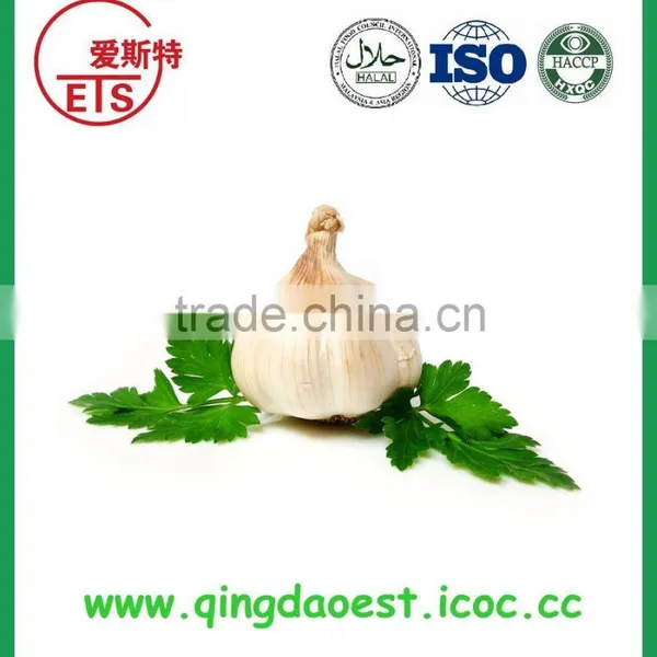 Jinxiang Fresh Best Price Normal White Garlic on Sale photo-2