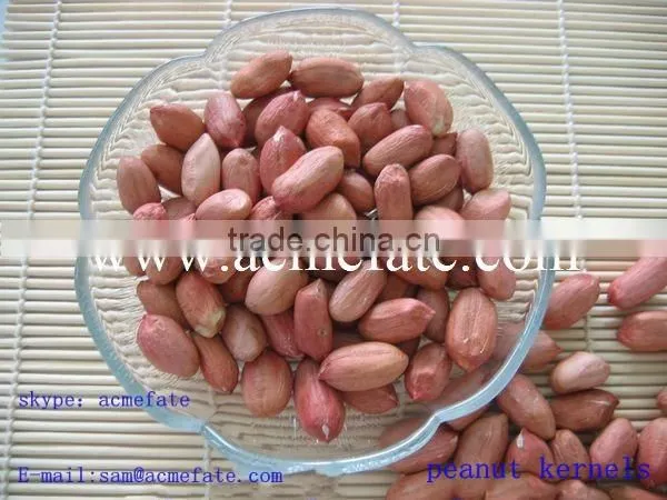 Chinese Long Type Peanut Kernels photo-4
