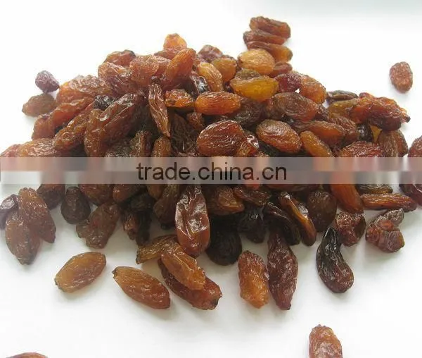 Top Quality Raisin(sun Dried) From Xinjiang photo-5
