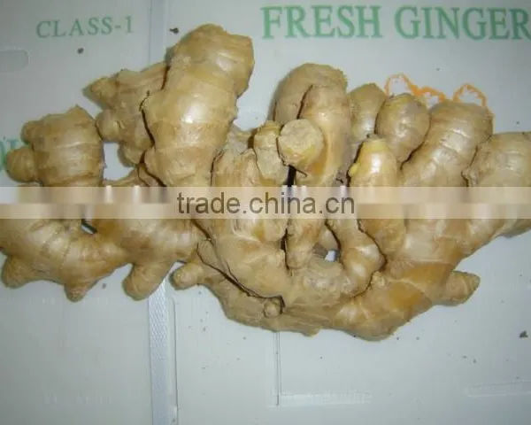 Fresh Air Dried Ginger photo-3