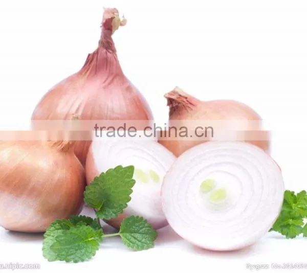 FX-128-3A High Efficiency Hot Sale Onion Peeling Peeler Machine photo-6