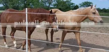 T Post,fiberglass T Post for Electrical Fence System photo-4