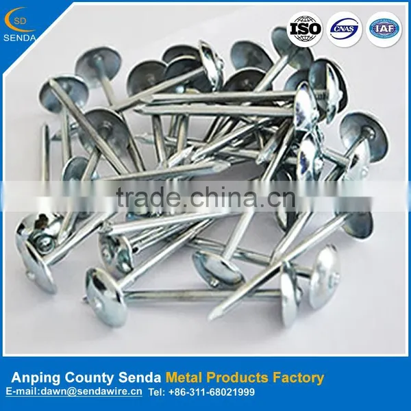Zinc Galvanized Roofing Nails / Cheap Price Iron Wire Nails photo-2