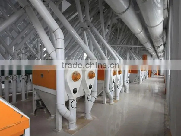 10-60T/Day Small Maize Flour Machine Maize Flour Milling Production Line Corn Flour Grinding Machine photo-5