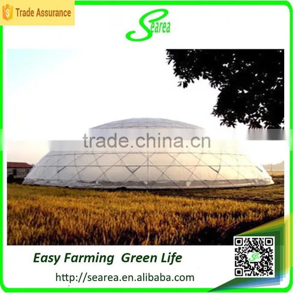 Single Span Vegetable Film Greenhouse for Sale photo-2