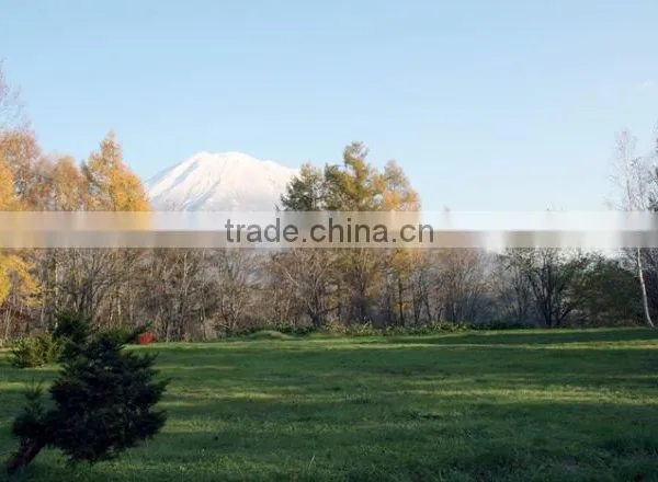 Ski Resort , Land for Sale , Condominiums , Hotels , Land for Invest photo-2
