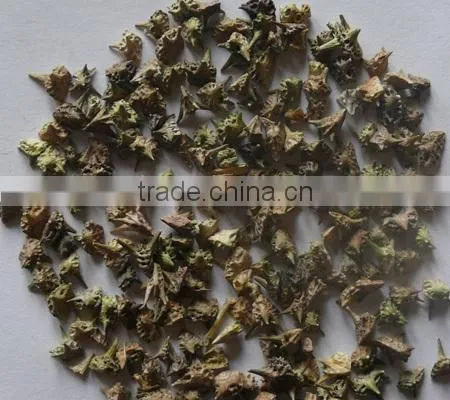 Tribulus Extract photo-2