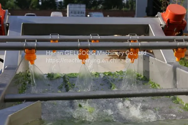 Automatic Stainless Steel Vegetable/Fruit Potato Bubble Washing Machine/Air Bubble Washing Machine Manufacture photo-5