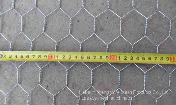 Hot Dip Electro Galvanized Chicken Wire Mesh Hexagonal Mesh With Lowest Price photo-3