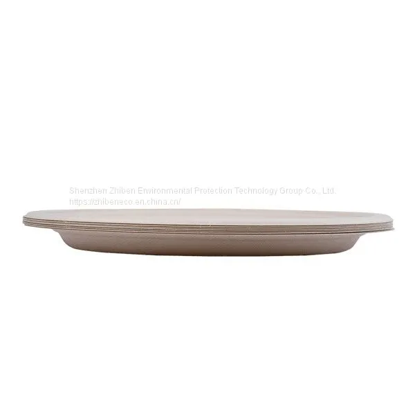 Bagasse Sugarcane Disposable Biodegradable Compostable Party Paper Pulp Plates