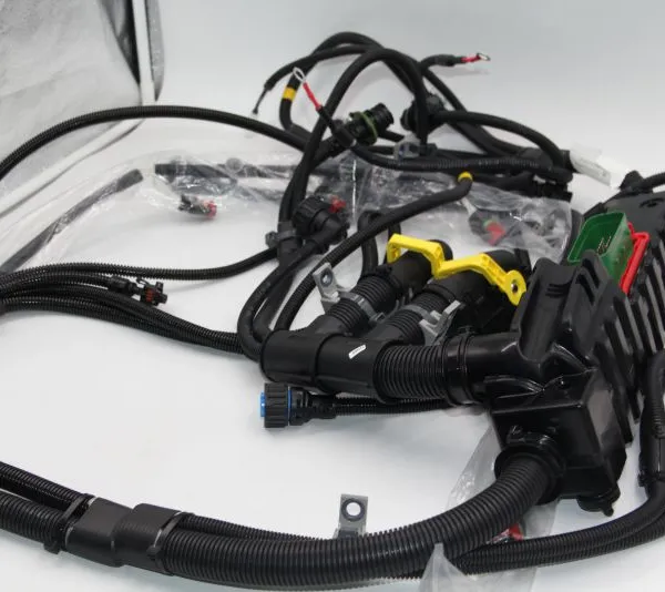 OE Member 7421545827 Truck Engine Wire Harness Wiring Harness Truck Cable Harness for RENAULT Truck photo-2