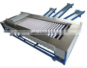 Date Palm Sorting and Cleaning Machine/sorting System photo-5