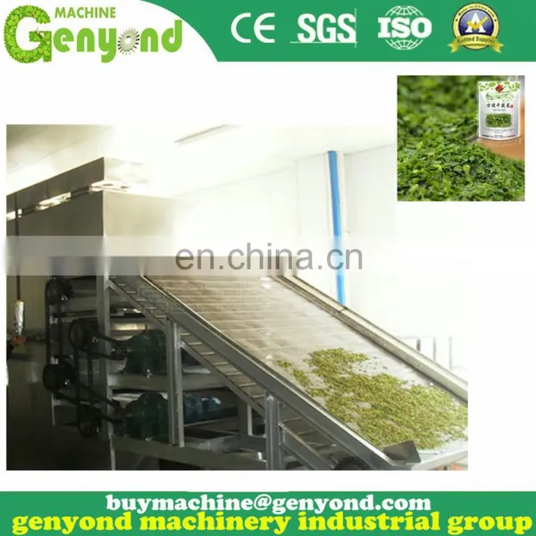 Contiunous Drying Mango Chips Processing Plant photo-3