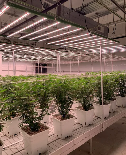 Indoor Growing-enhanced Efficacy Hassle-free Inter-locking Led Grow Module for Plant Indoor Growing photo-4