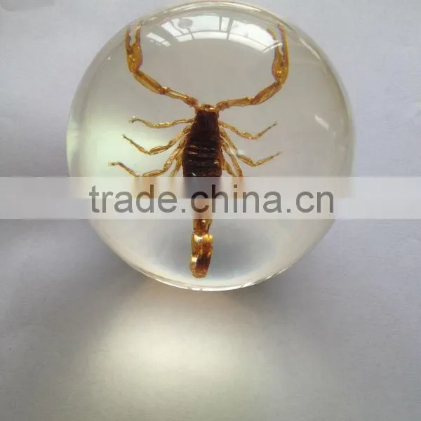 Hot Selling Rutilated Quartz Crystal Ball / Sphere With Real Flowers Embedded for Promotional Gift photo-5