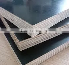 Wiremesh Film Faced Plywood, photo-5
