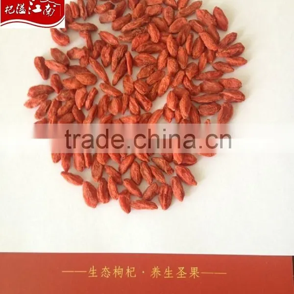DRIED GOJI BERRY photo-2