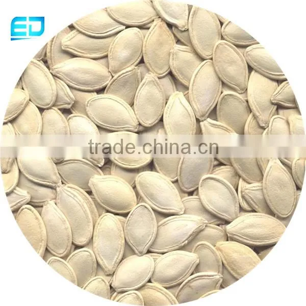 Watermelon Seeds Sale Shine Skin Pumpkin Seeds Wholesale photo-2
