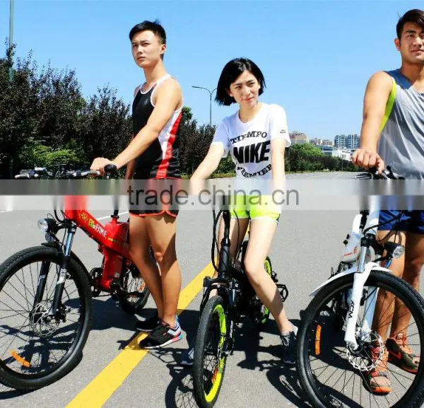 Seagull, Lead-acid Battery for Electric Bike Kit photo-3