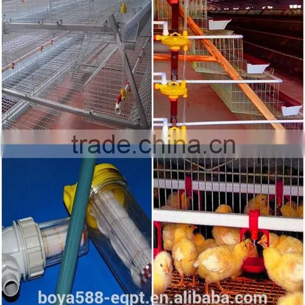 Poultry Farm Automatic Drinking System Feeding System for 10000 Chickens photo-4