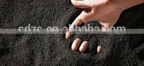 Oilseeds Rape photo-2